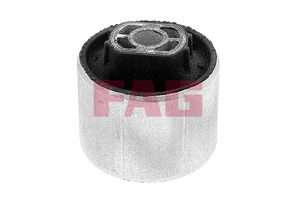 FAG Uležištenje, upravljač