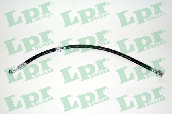 LPR Kočiono crijevo