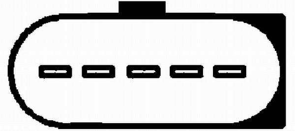 HELLA Mjerač zračne mase