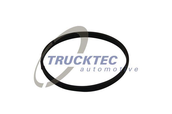 TRUCKTEC AUTOMOTIVE Brtva, kućište usisne grane