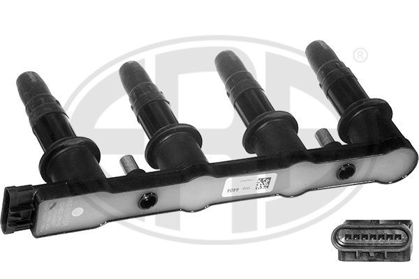 ERA Indukcijski svitak