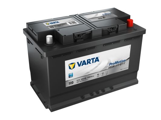 VARTA akumulator 100Ah D+ 313x175x205 (720A)