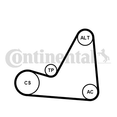 CONTINENTAL CTAM Komplet klinastih orebrenih remena