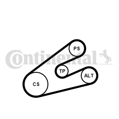 CONTINENTAL CTAM Komplet klinastog rebrastog remena