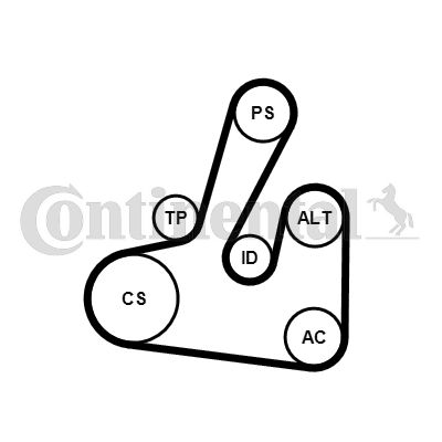 CONTITECH Komplet klinastih orebrenih remena