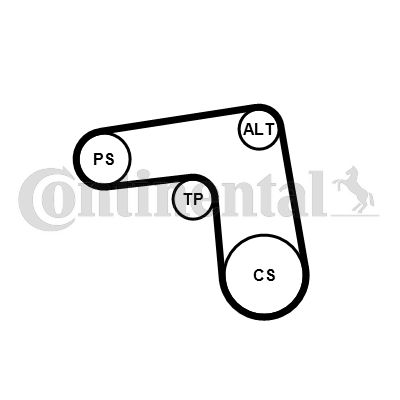 CONTINENTAL CTAM Komplet klinastih orebrenih remena