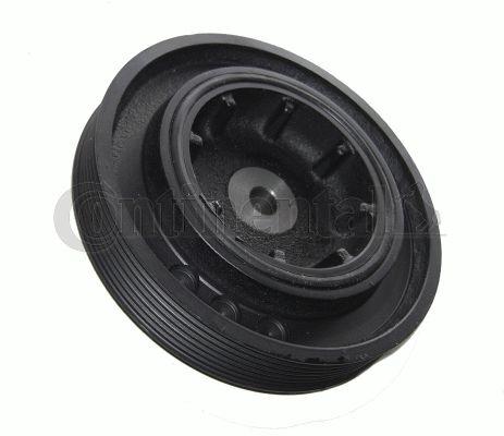 Contitech Remenica, radilica