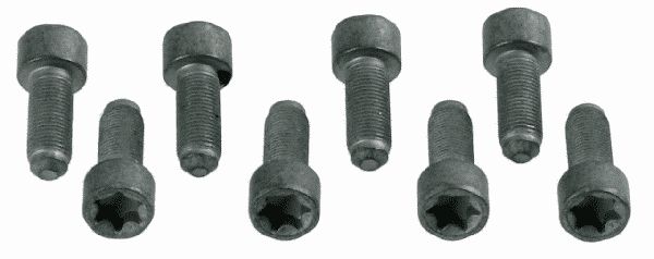 Sachs Komplet vijaka, zamašnjak