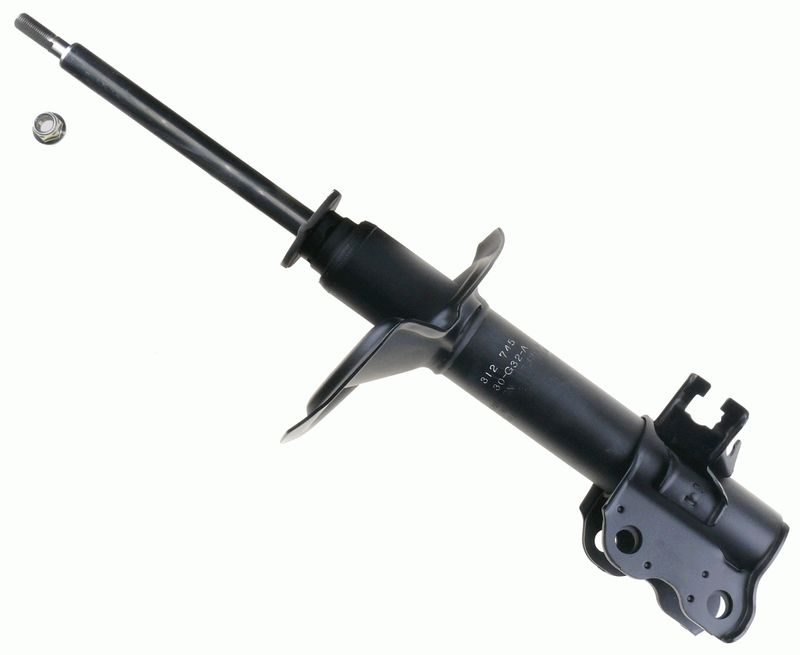 SACHS Amortizer