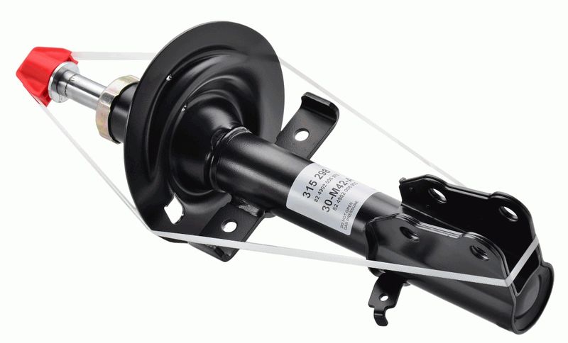 SACHS Amortizer