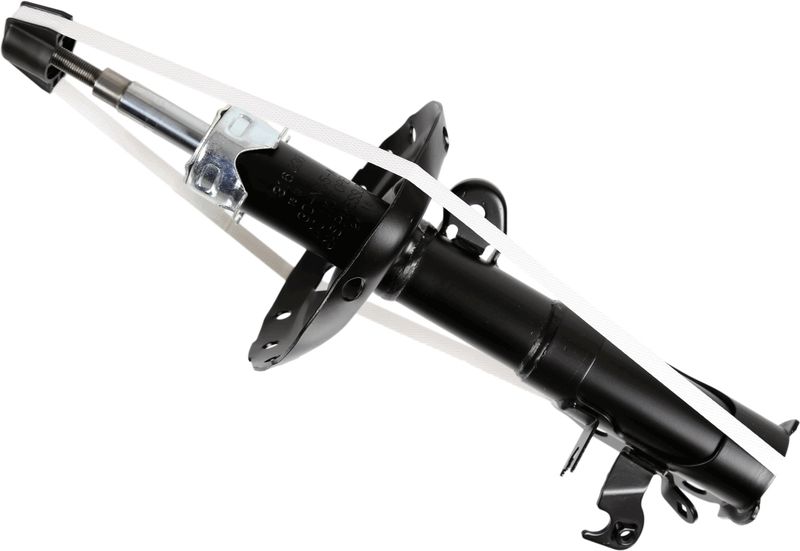 SACHS Amortizer