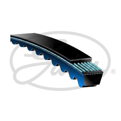 GATES Klinasti remen