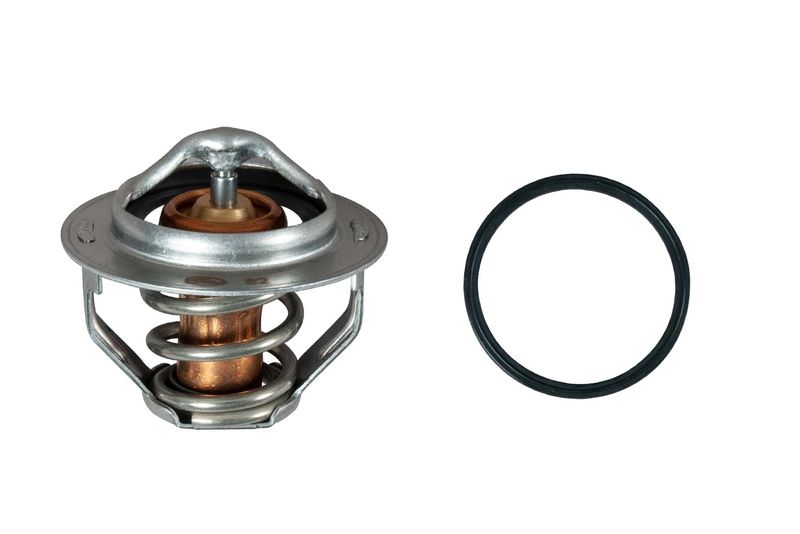 GATES Termostat, rashladno sredstvo