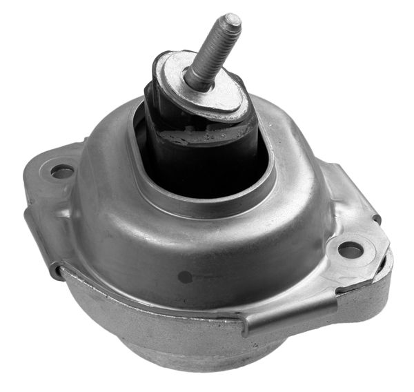 LEMFÖRDER Uležištenje, motor