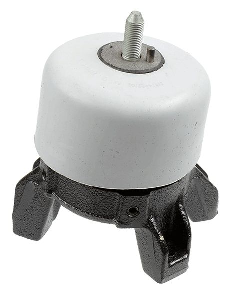 LEMFÖRDER Uležištenje, motor