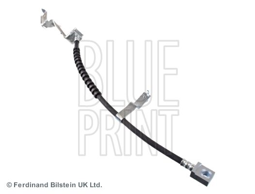 BLUE PRINT Kočiono crijevo