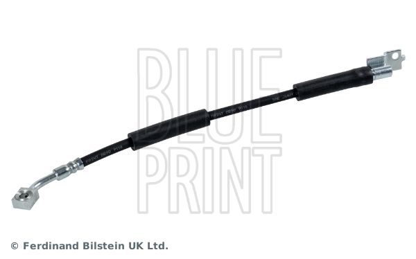 BLUE PRINT Kočiono crijevo