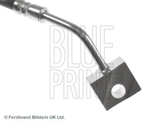 BLUE PRINT Kočno crijevo