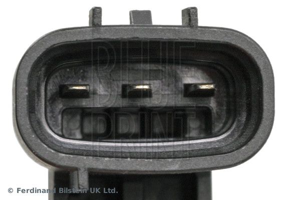 BLUE PRINT Kočno crijevo