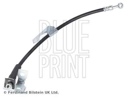 BLUE PRINT Kočiono crijevo