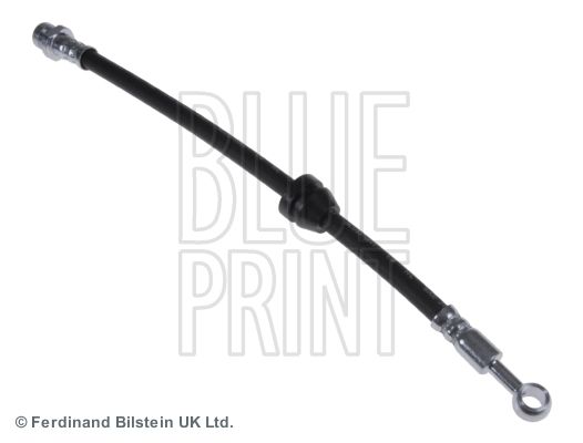 BLUE PRINT Kočiono crijevo