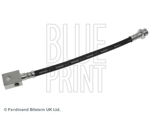 BLUE PRINT Kočiono crijevo