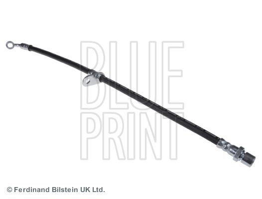 BLUE PRINT Kočiono crijevo