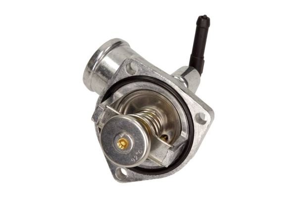 MAXGEAR Termostat