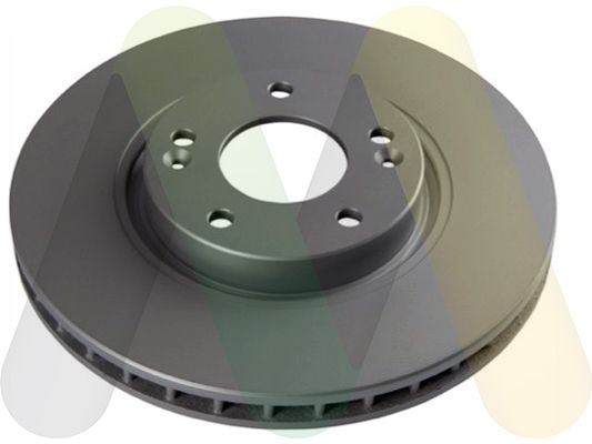 MOTAQUIP Kočni disk