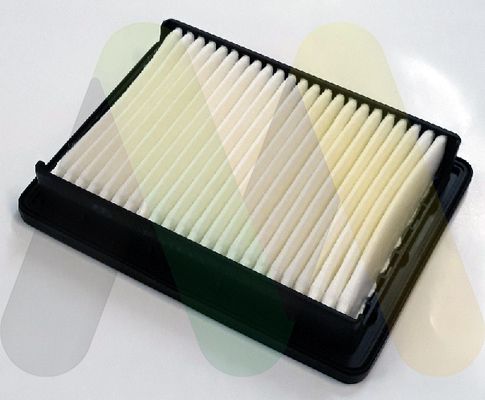 MOTAQUIP Filter zraka