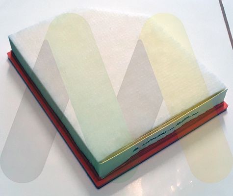 MOTAQUIP Filter za zrak