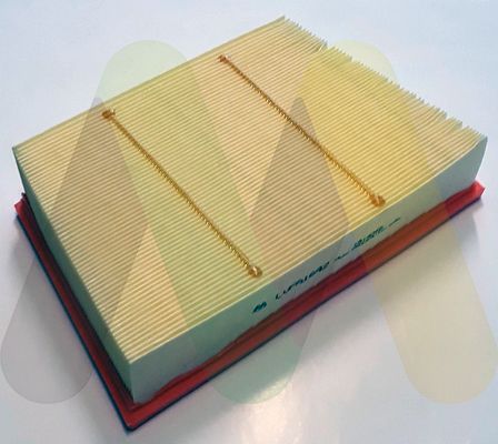 MOTAQUIP Filter za zrak