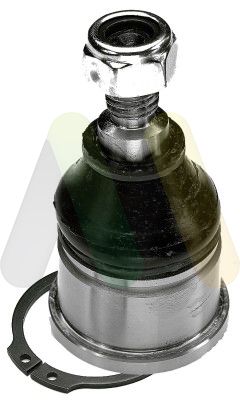 MOTAQUIP Nosivi/vodeći zglob