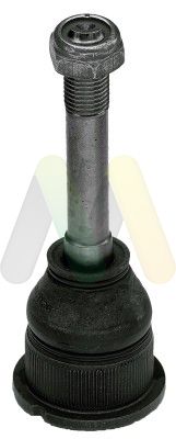 MOTAQUIP Nosivi/vodeći zglob