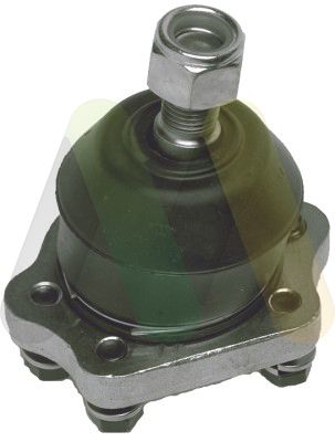 MOTAQUIP Nosivi/vodeći zglob