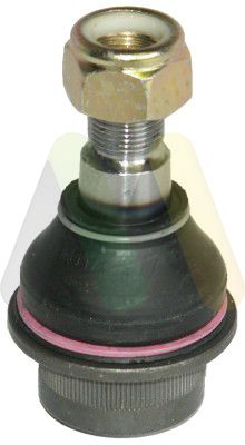 MOTAQUIP Nosivi/vodeći zglob