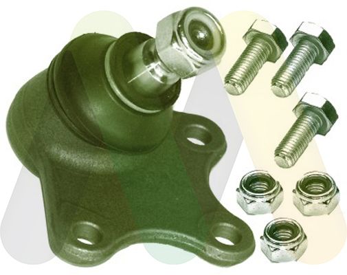 MOTAQUIP Nosivi/vodeći zglob