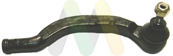 MOTAQUIP Glava spone upravljača