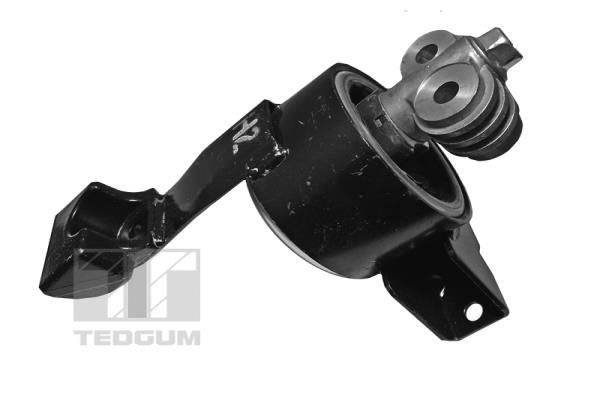 TEDGUM Uležištenje, motor