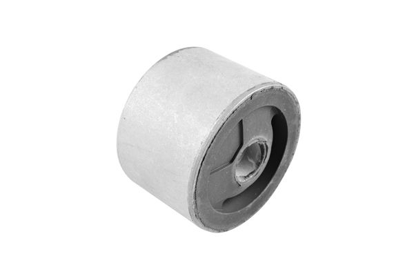 TEDGUM Držač, ovješenje motora