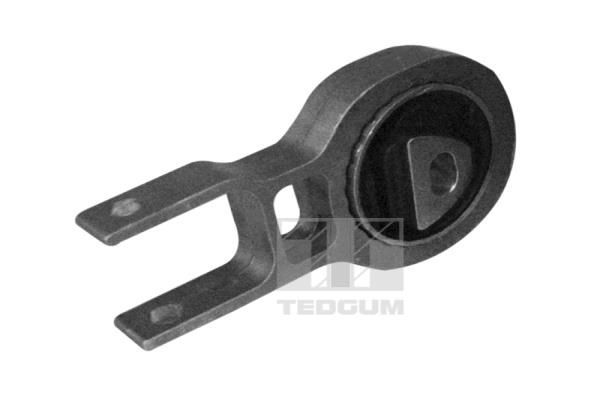 TEDGUM Uležištenje, motor