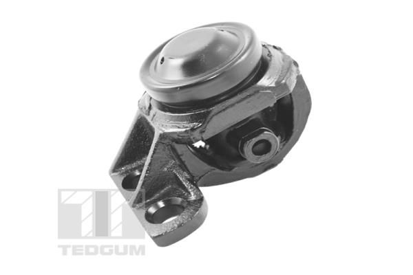 TEDGUM Uležištenje, motor