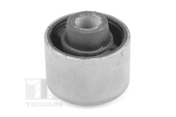 TEDGUM Držač, ovješenje motora