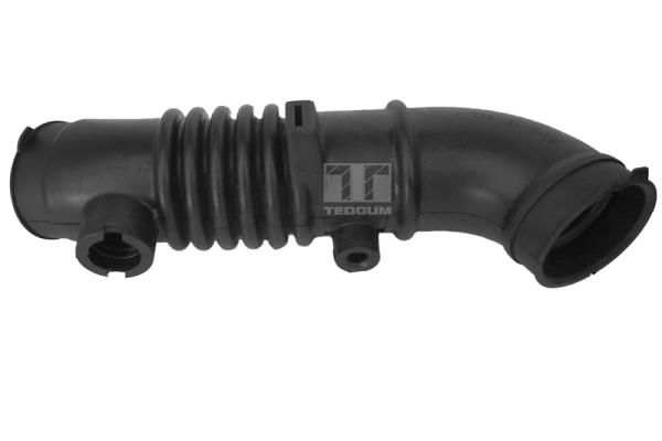 TEDGUM Usisno crijevo, Filter zraka