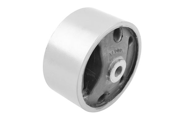 TEDGUM Uležištenje, motor