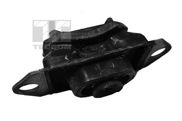 TEDGUM Uležištenje, motor