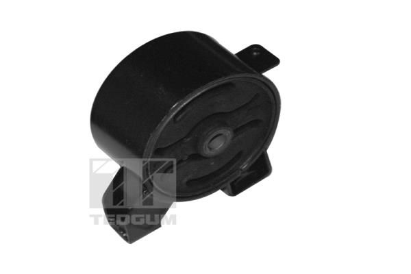 TEDGUM_TD Uležištenje, motor