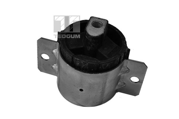 TEDGUM Potporni ležaj opružne noge