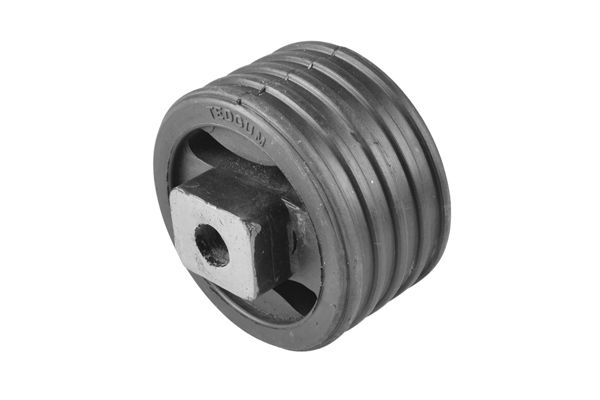 TEDGUM Držač, ovješenje motora