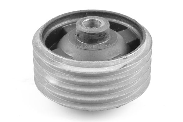 TEDGUM Držač, ovješenje motora